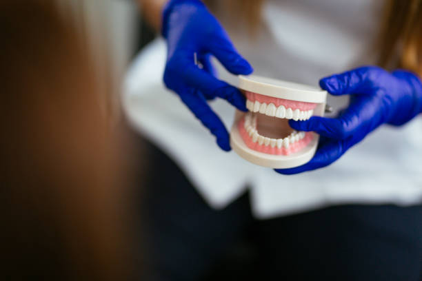 Best Preventive Dentistry  in Rocky Point, WA